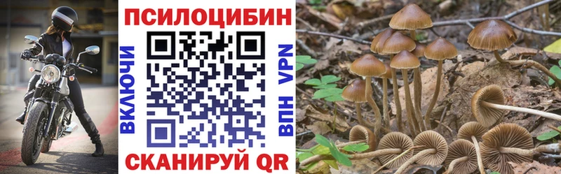 блэк спрут ссылка  Гаврилов-Ям  Псилоцибиновые грибы прущие грибы 