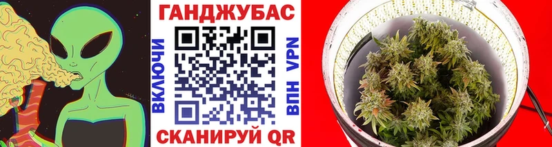 Каннабис планчик Гаврилов-Ям
